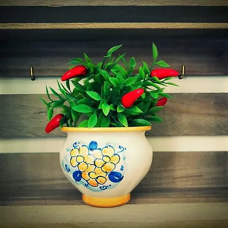 U Dammusu Ra Cianta Feriehus *
