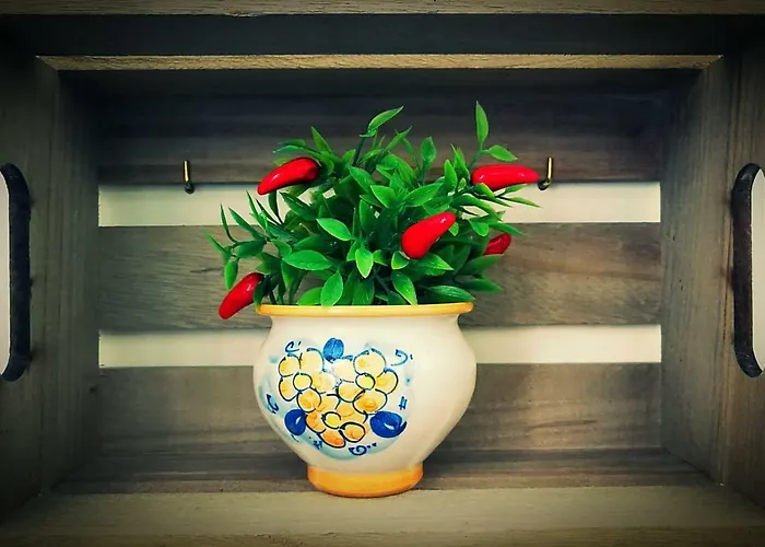 U Dammusu Ra Cianta Nyaraló *